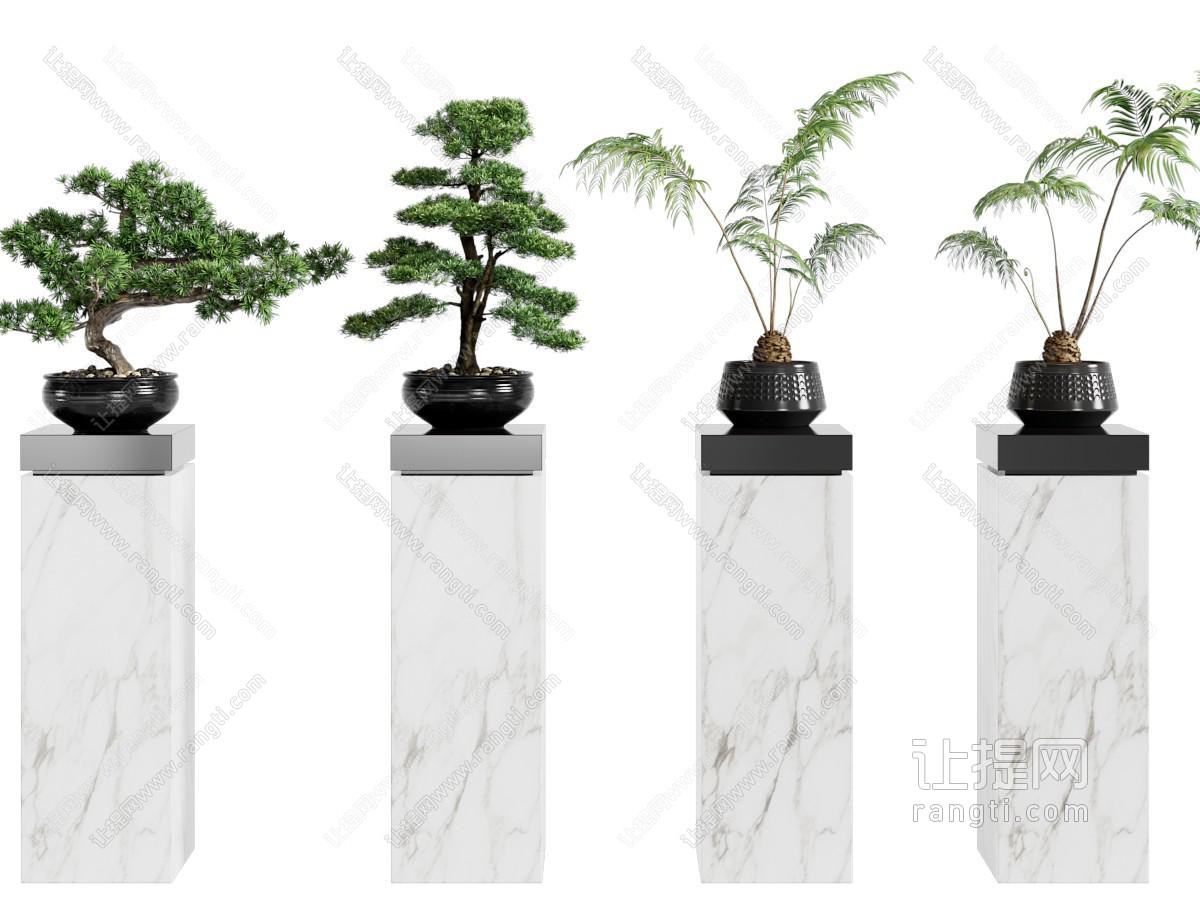 新中式盆栽