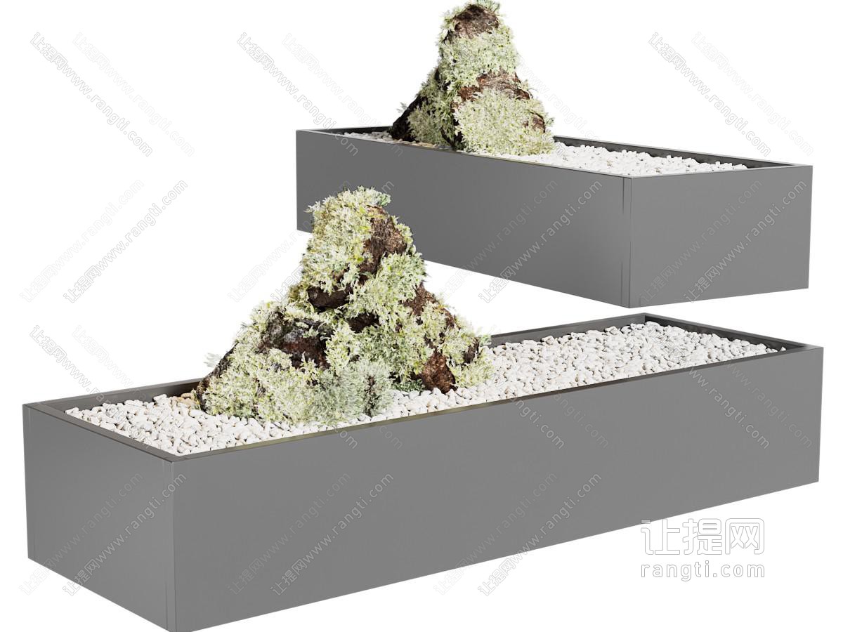 苔藓盆栽 盆景