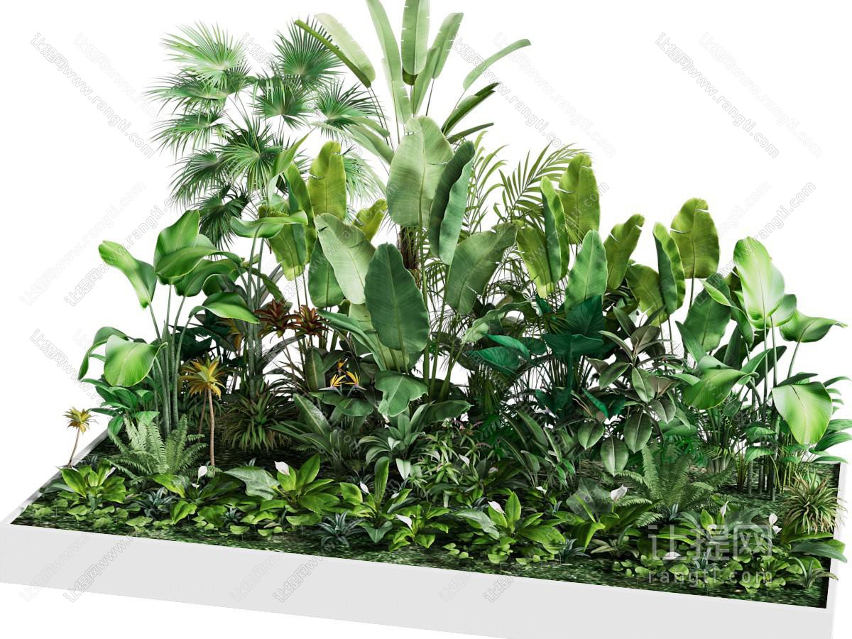 现代盆景盆栽植物堆