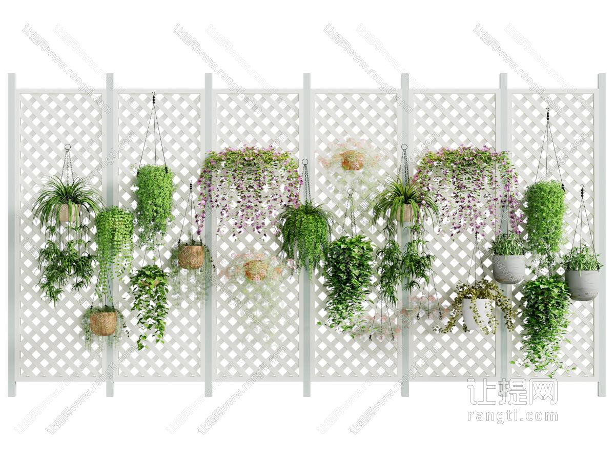 绿植盆栽 盆景盆栽植物