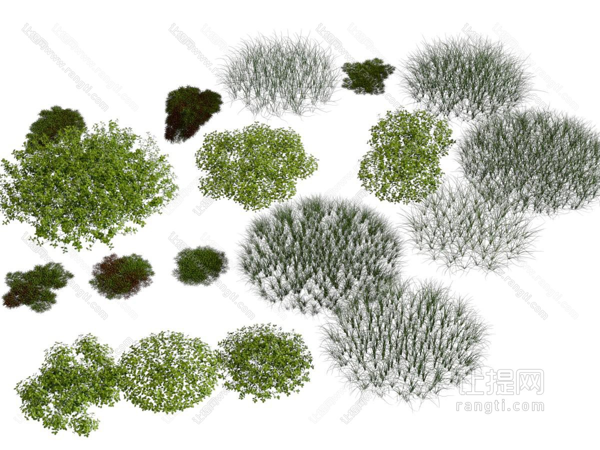 现代花草植物