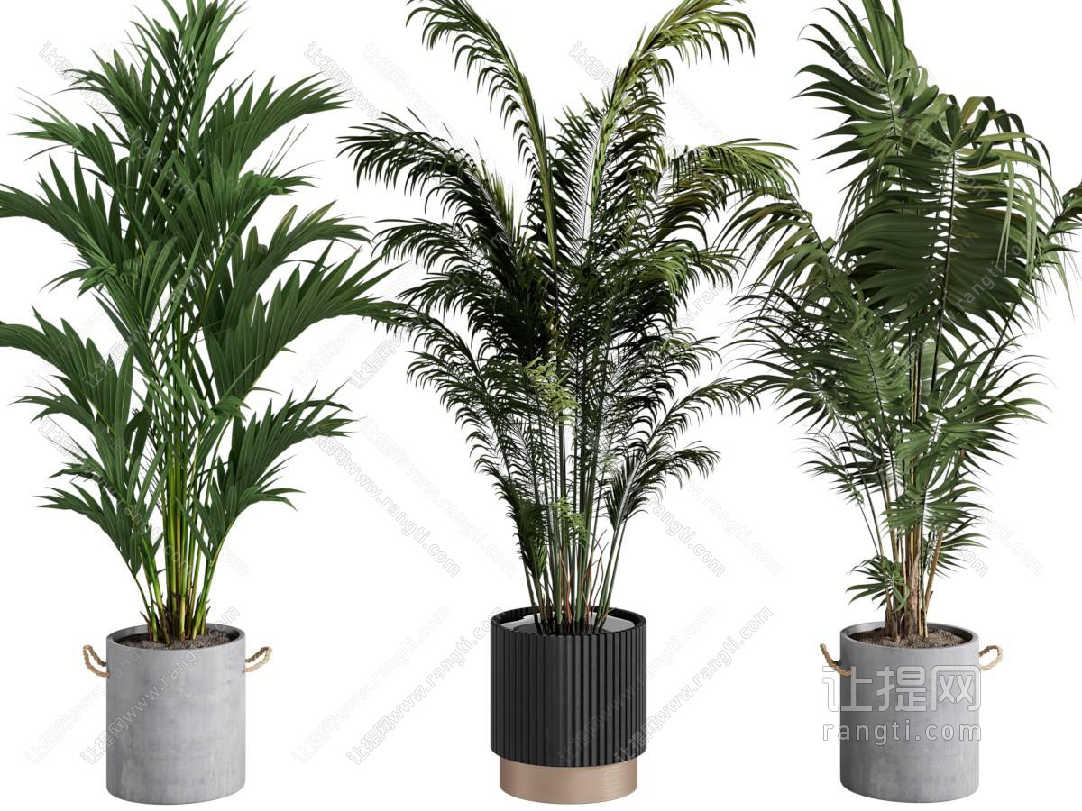 植物盆景盆栽组合