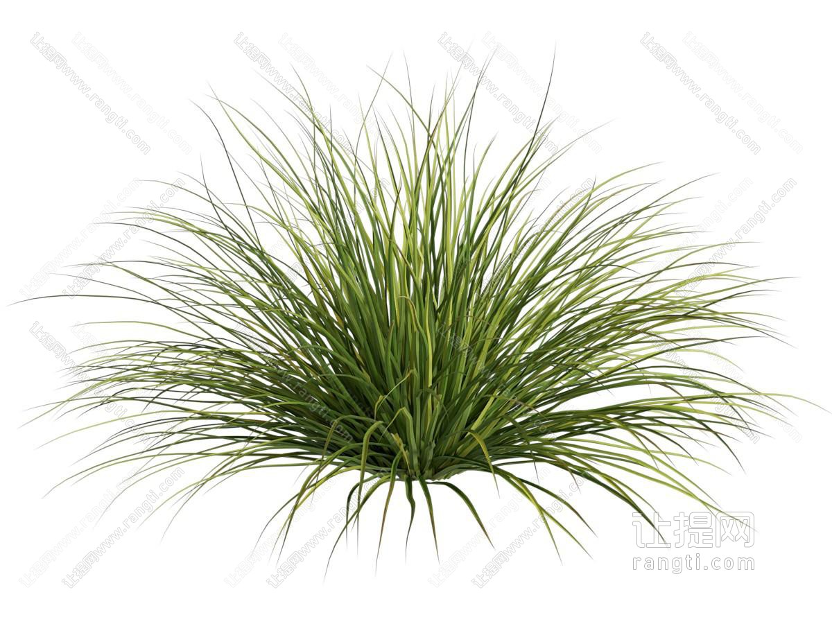 各类草及观赏植物
