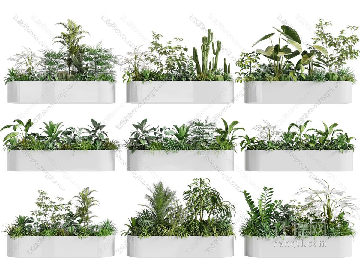 现代花坛花池 盆景盆栽植物