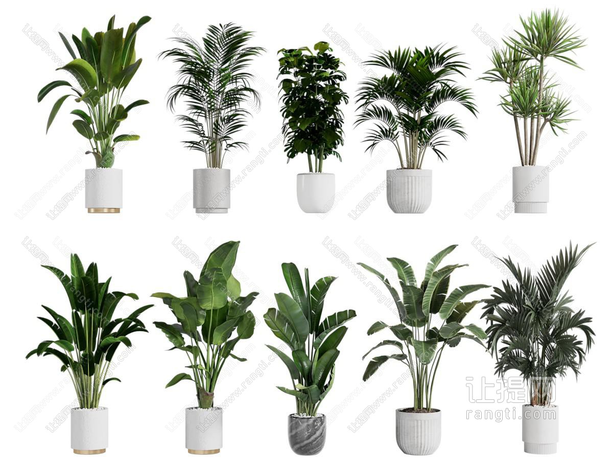 现代绿植盆景盆栽