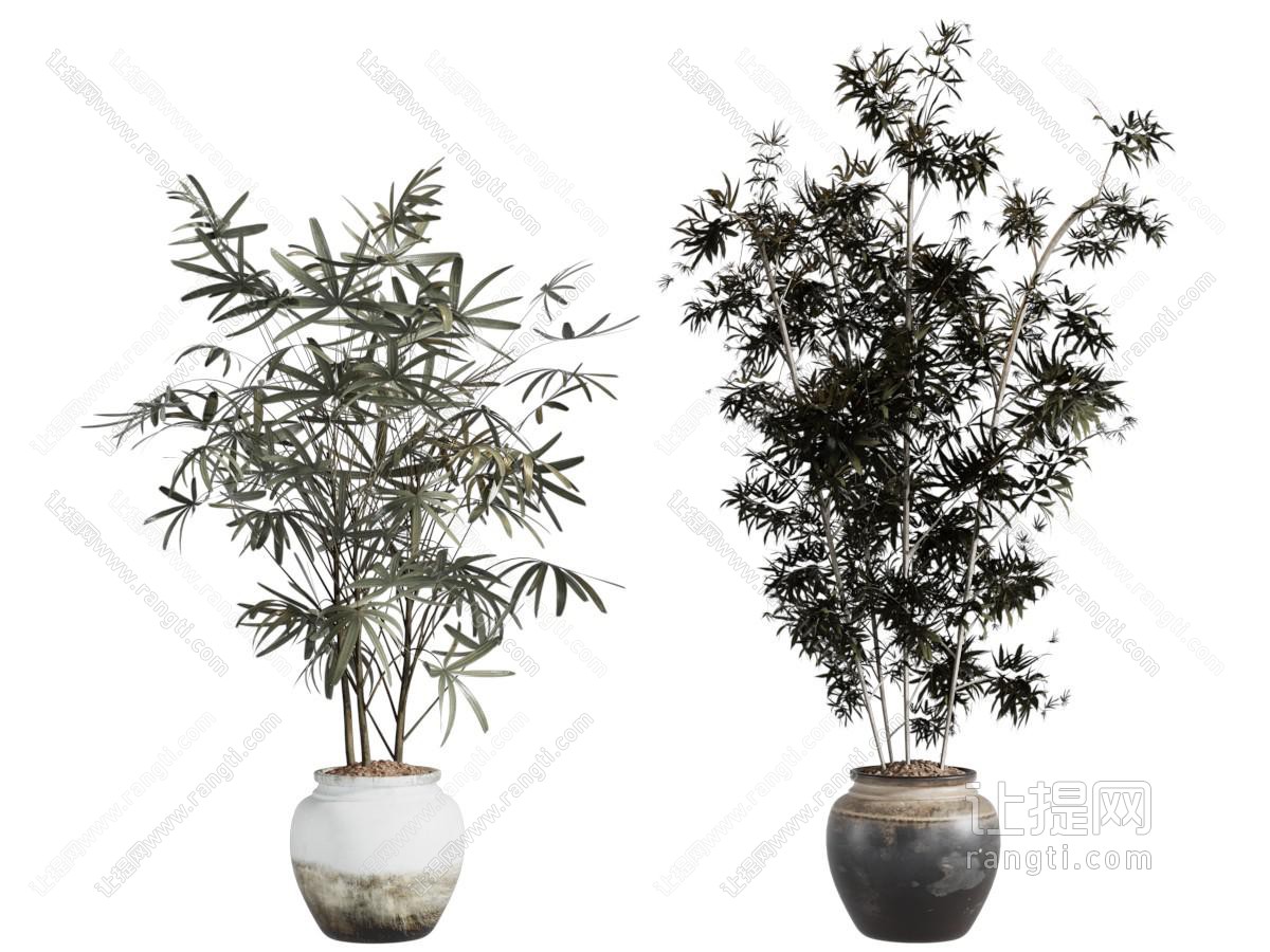 侘寂风中古风绿植盆景盆栽