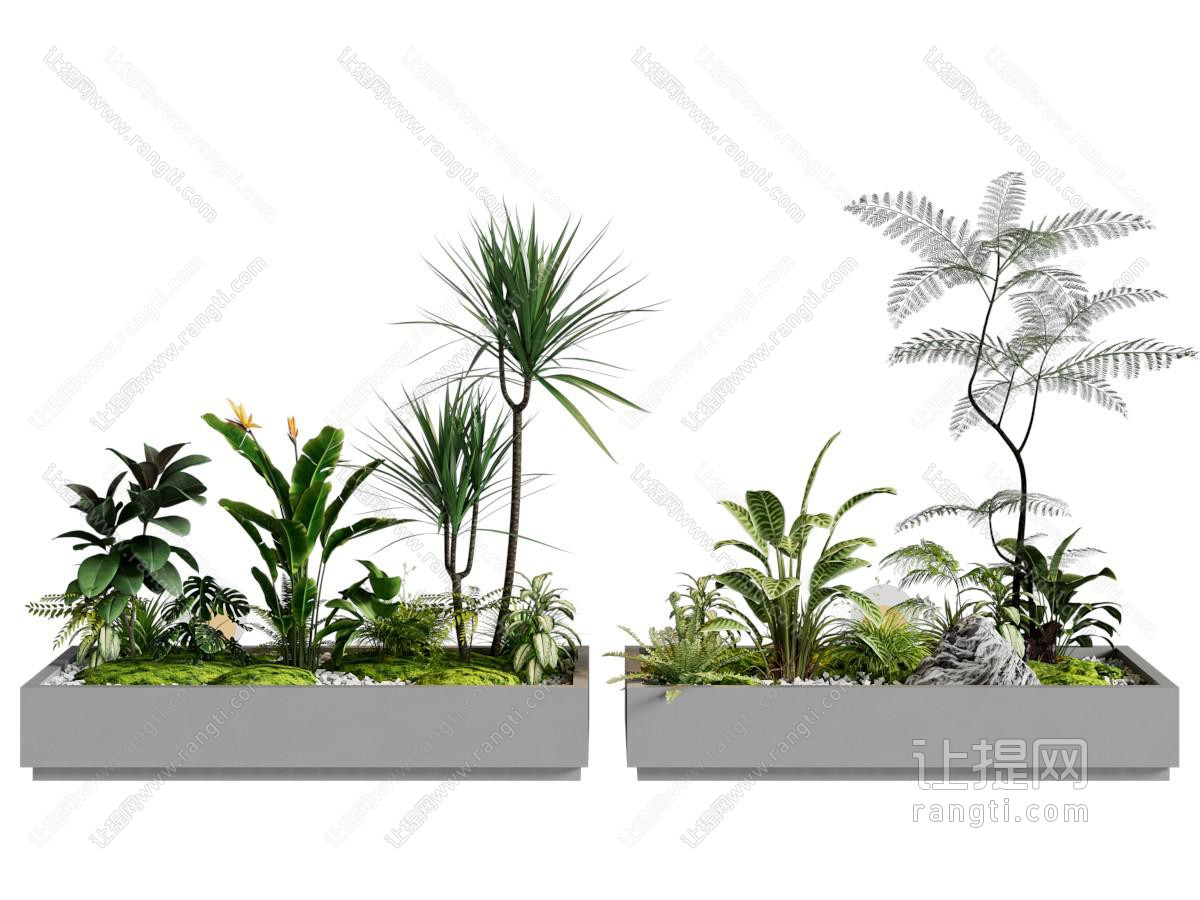 现代花池 花坛 盆景盆栽植物