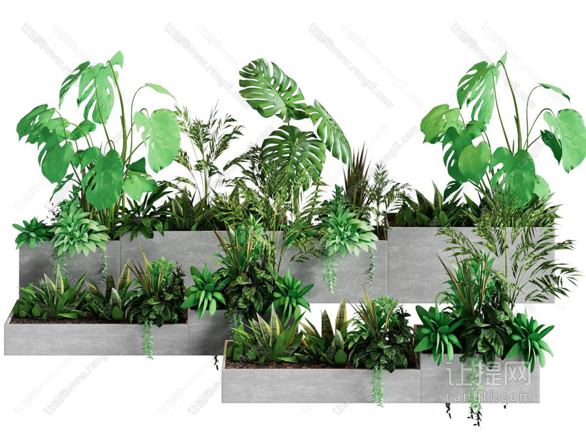 盆景盆栽 植物堆