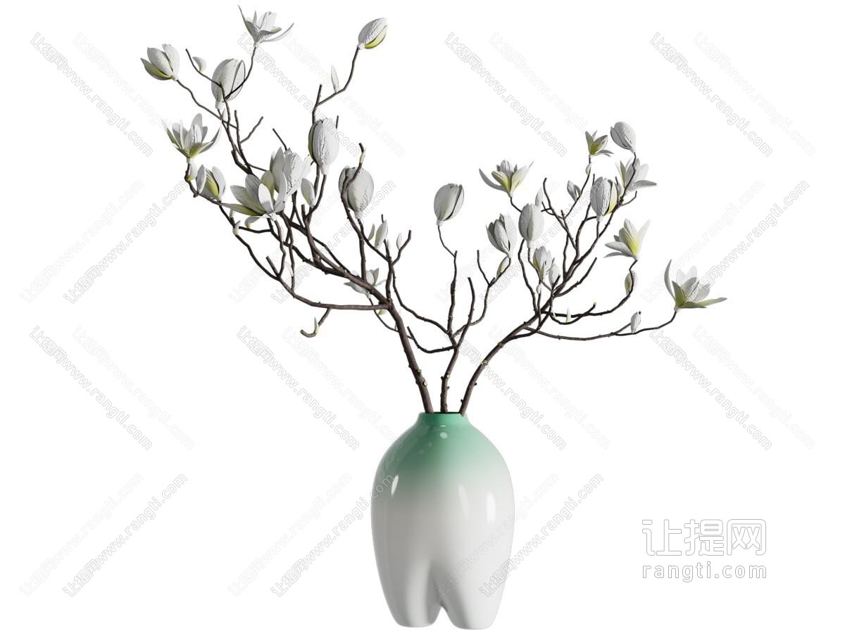 盆景盆栽植物摆件 兰花盆栽