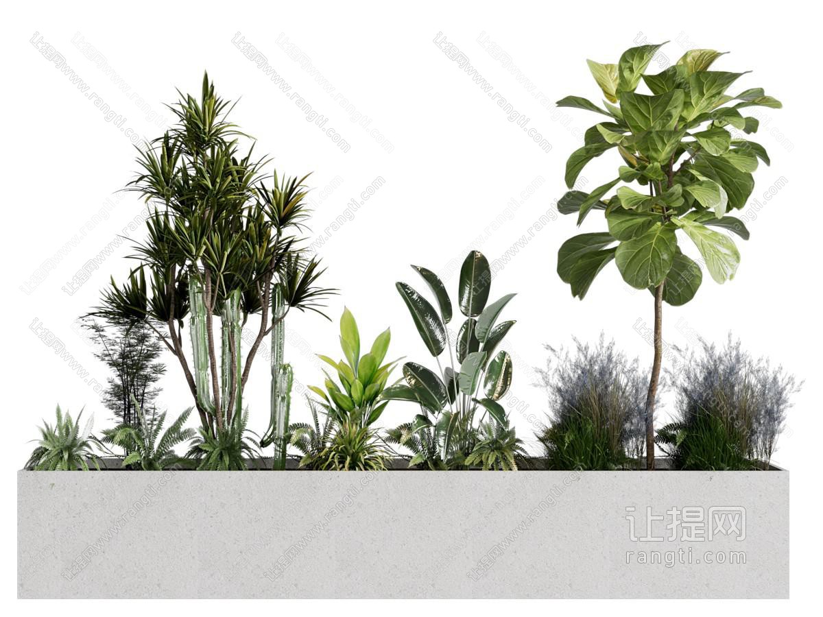 现代花池 多肉 花草植物盆景盆栽