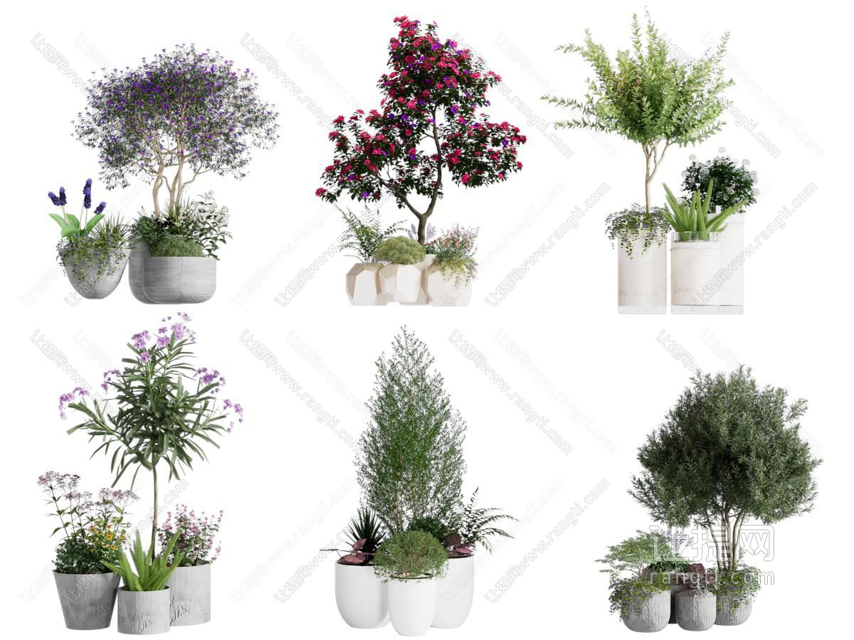 盆栽 盆景 花草