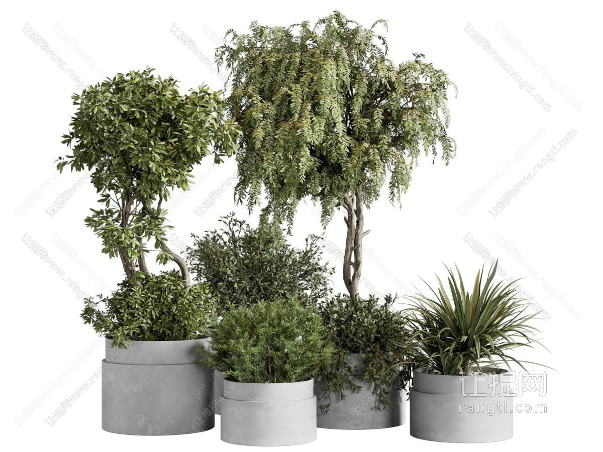 现代绿植盆景盆栽组合