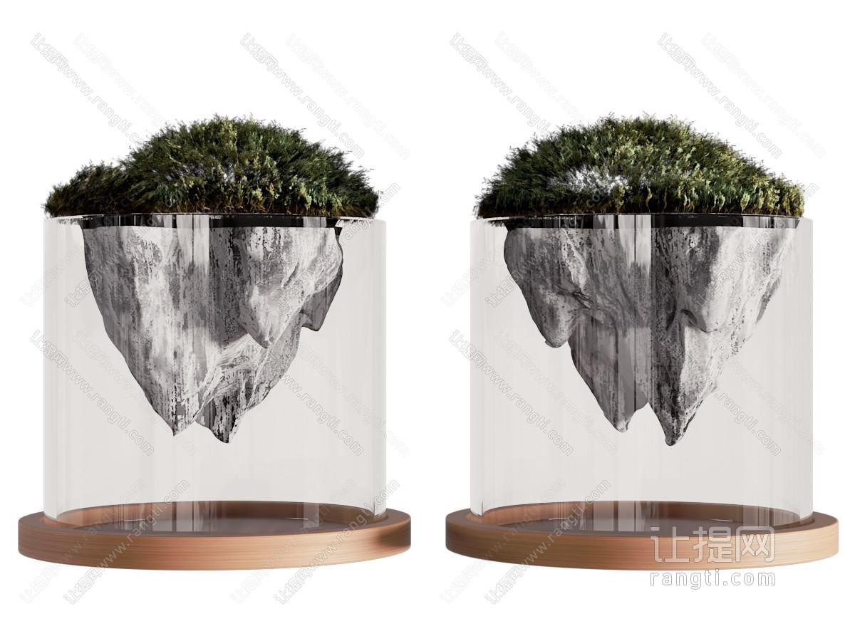 盆景盆栽植物