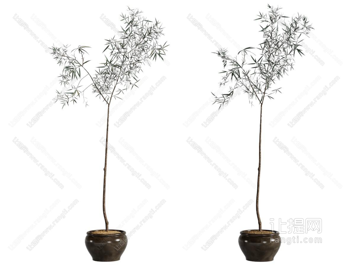 侘寂风花艺组合 盆景盆栽植物