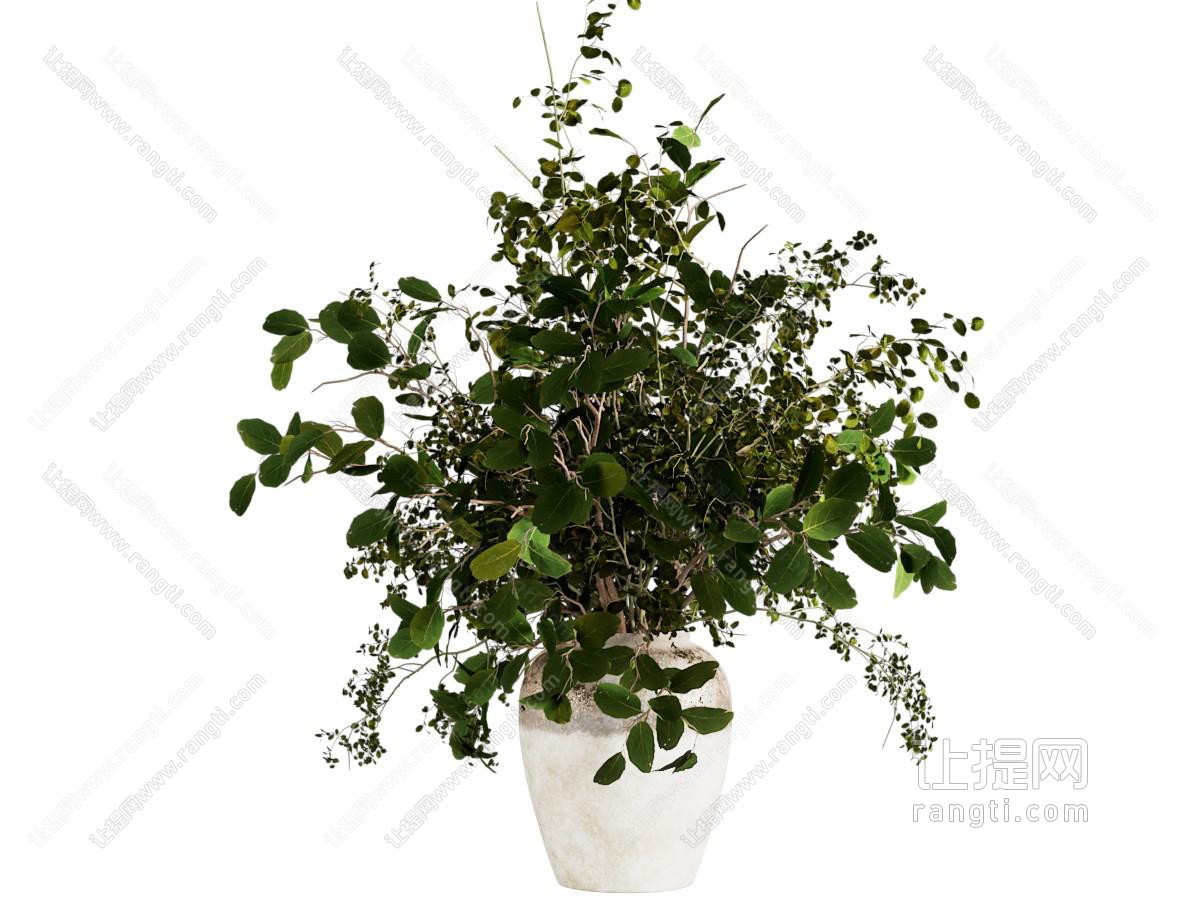 现代陶罐植物盆栽