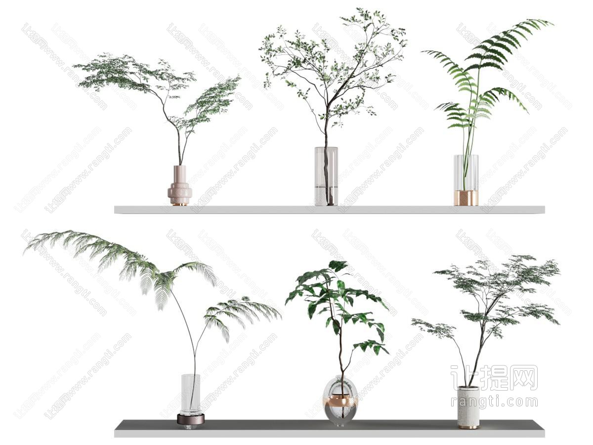水生植物 绿植 花瓶花卉 玻璃瓶