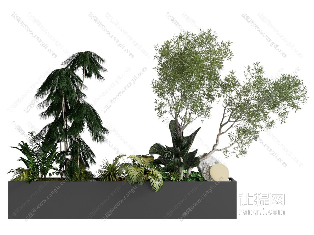 植物堆 景观植物 植物组合 树池