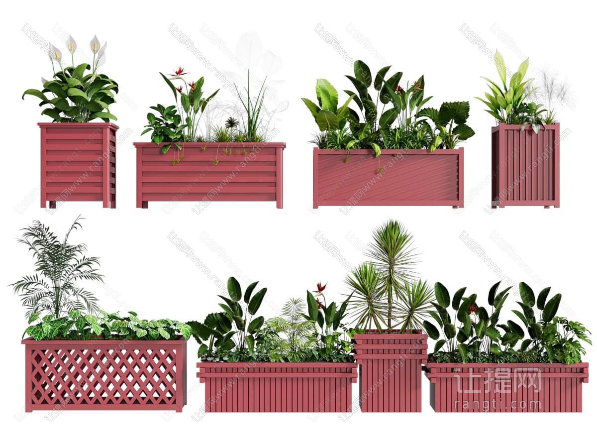 现代户外花箱盆景盆栽植物