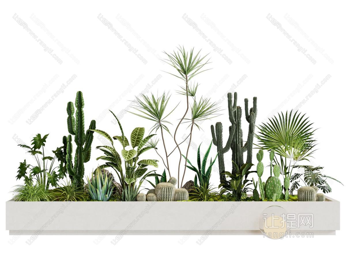 现代户外花坛多肉花草植物盆景盆栽