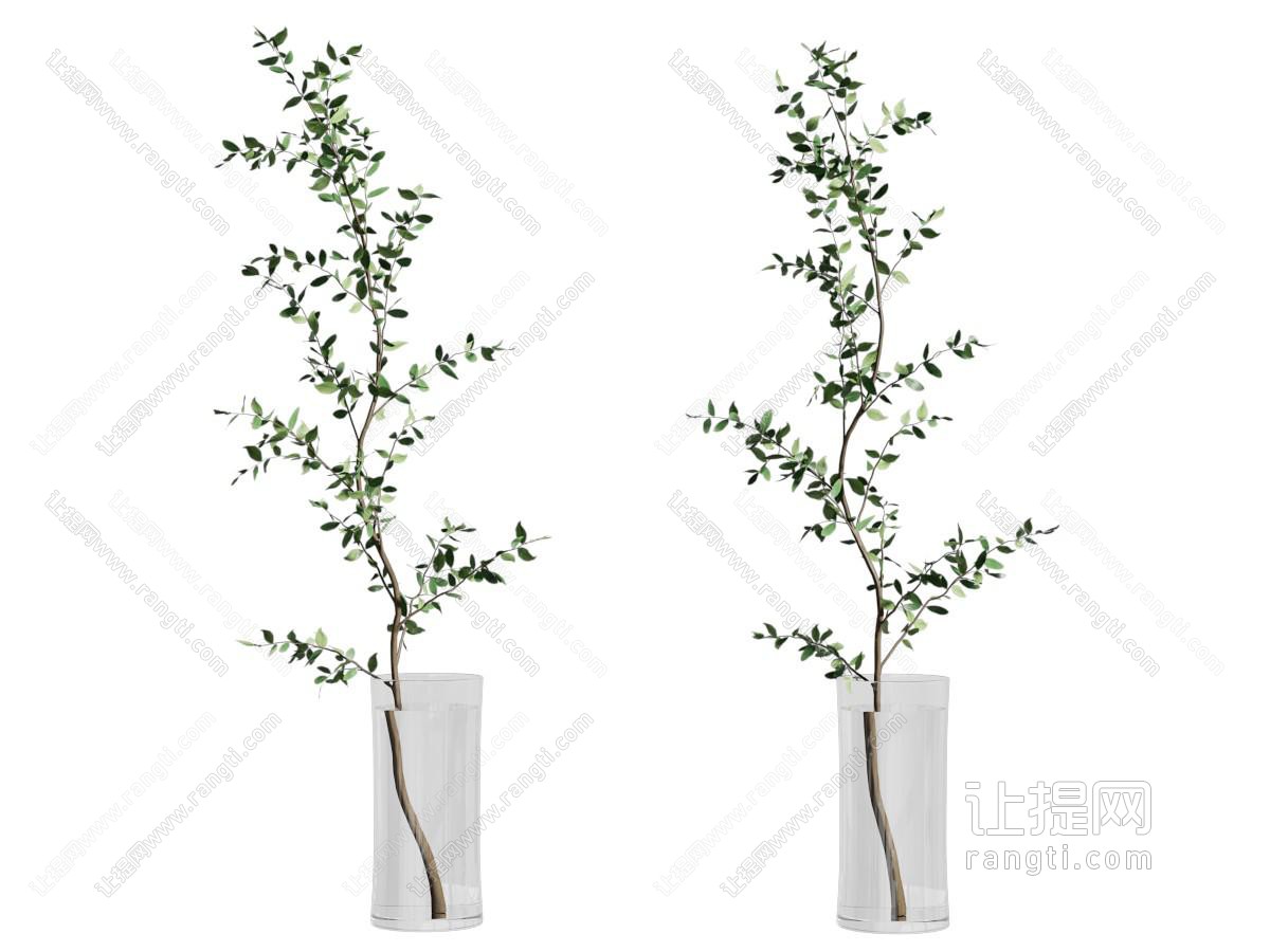 花瓶绿植