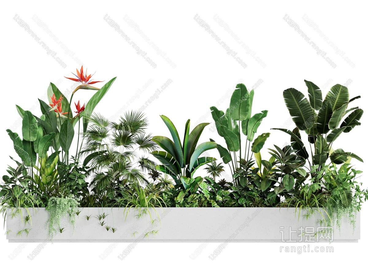 现代花坛 花池 植物盆景盆栽