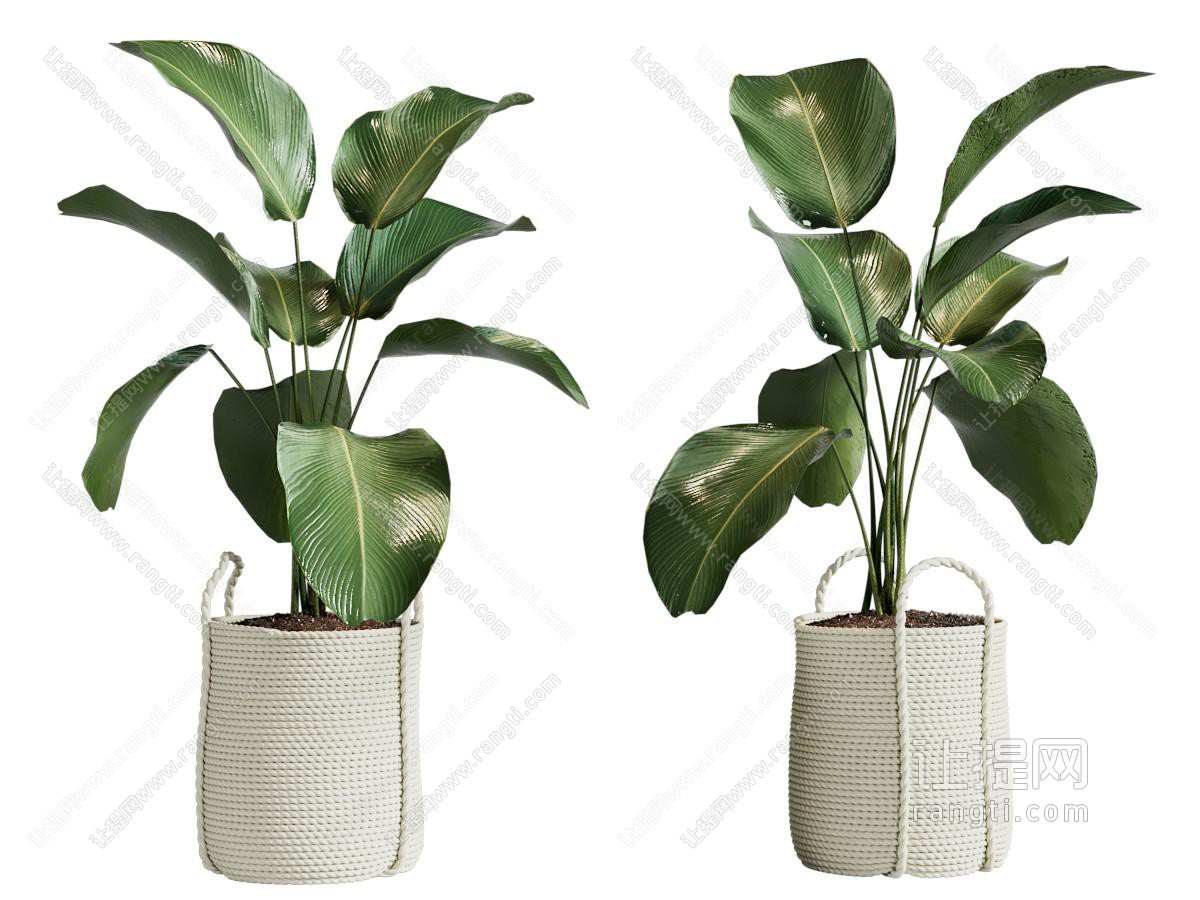 现代编织花盆盆景盆栽植物