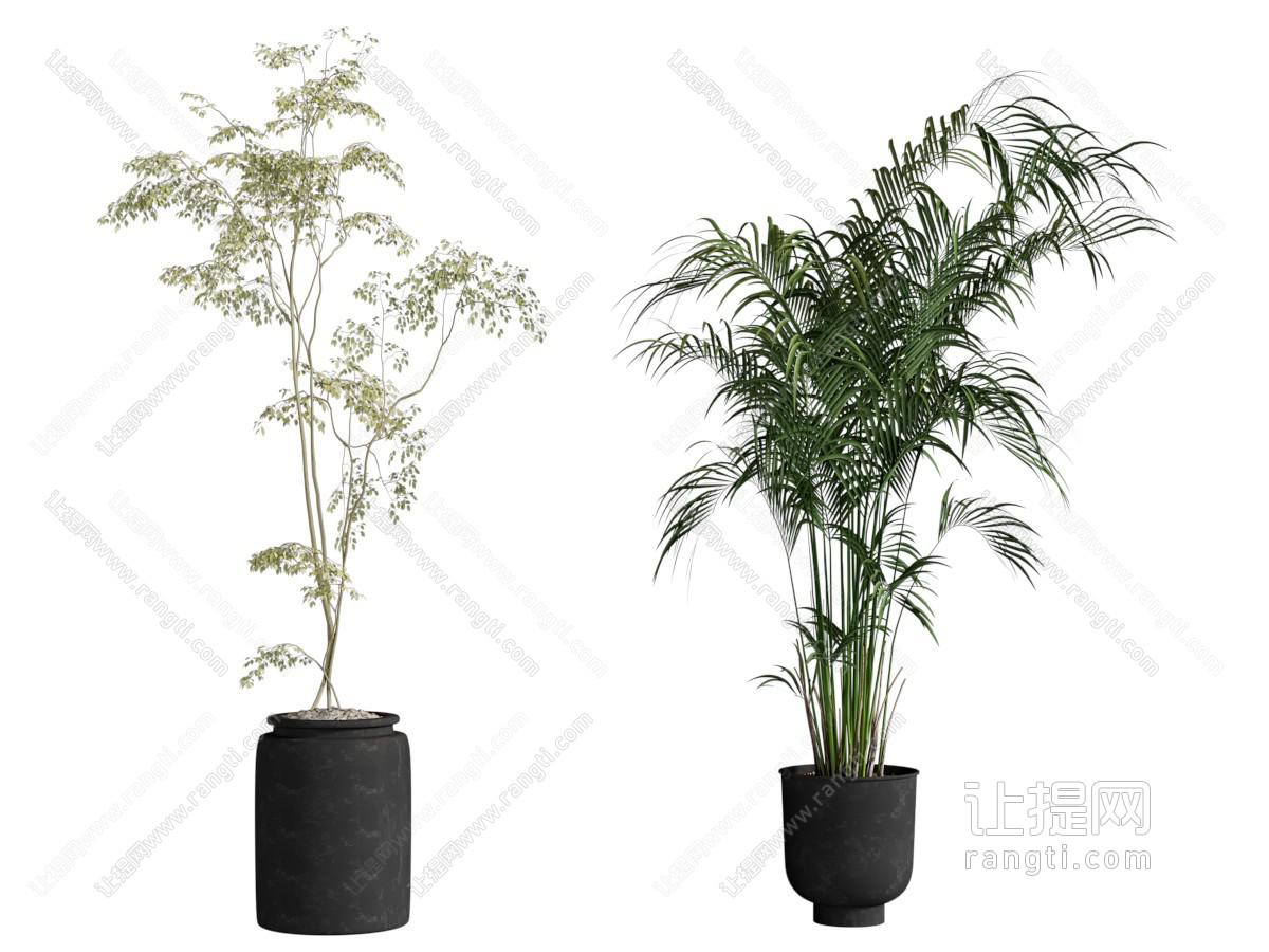 现代盆栽盆景 植物摆件