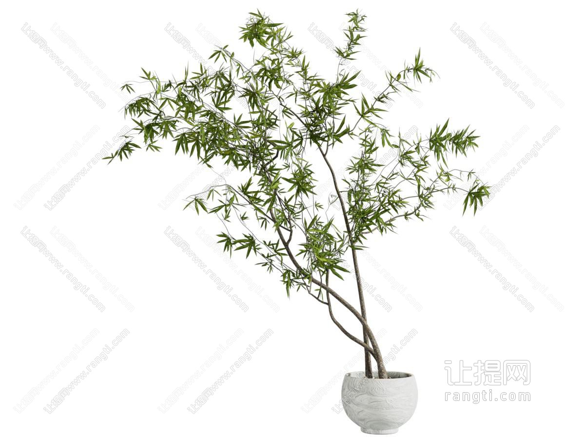 现代花盆竹子盆景盆栽