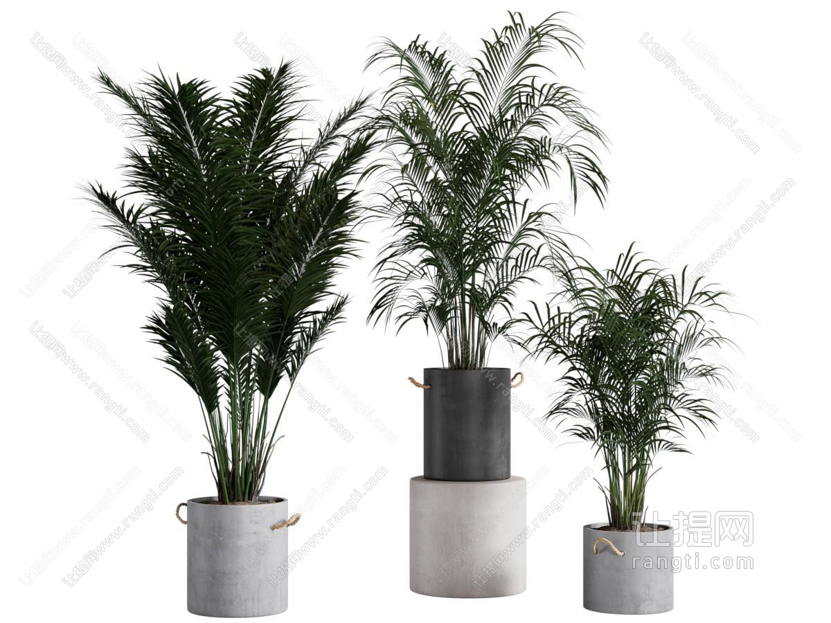 现代绿植盆栽