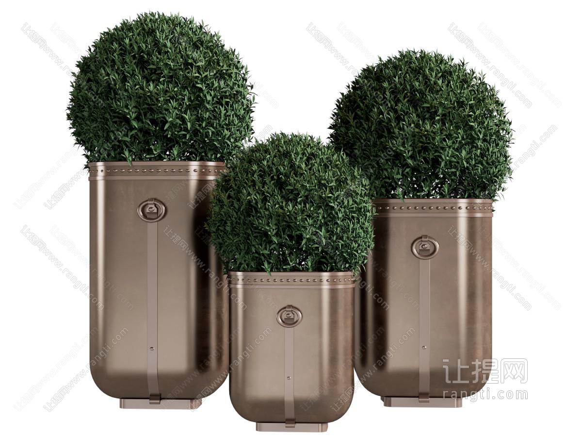 现代户外花盆盆景盆栽植物