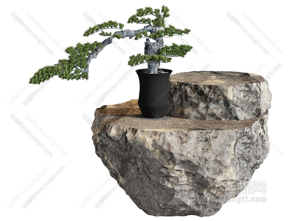 新中式盆景盆栽植物