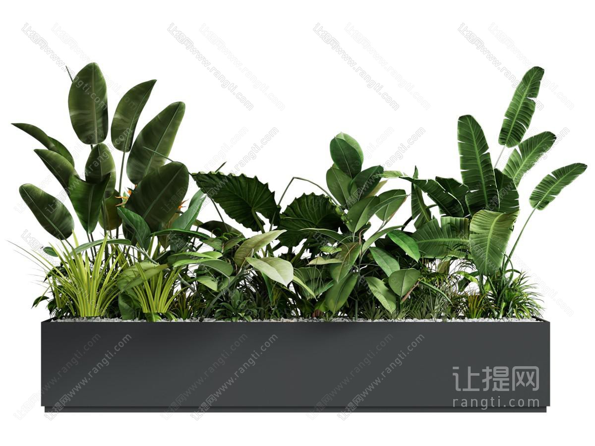 现代花坛花草植物盆景盆栽