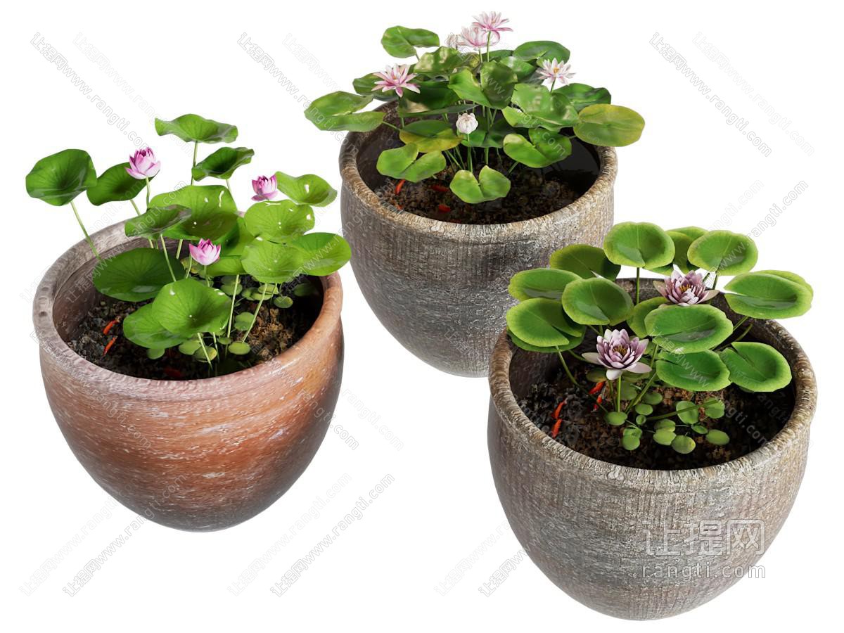 新中式荷花池 景观园艺小品