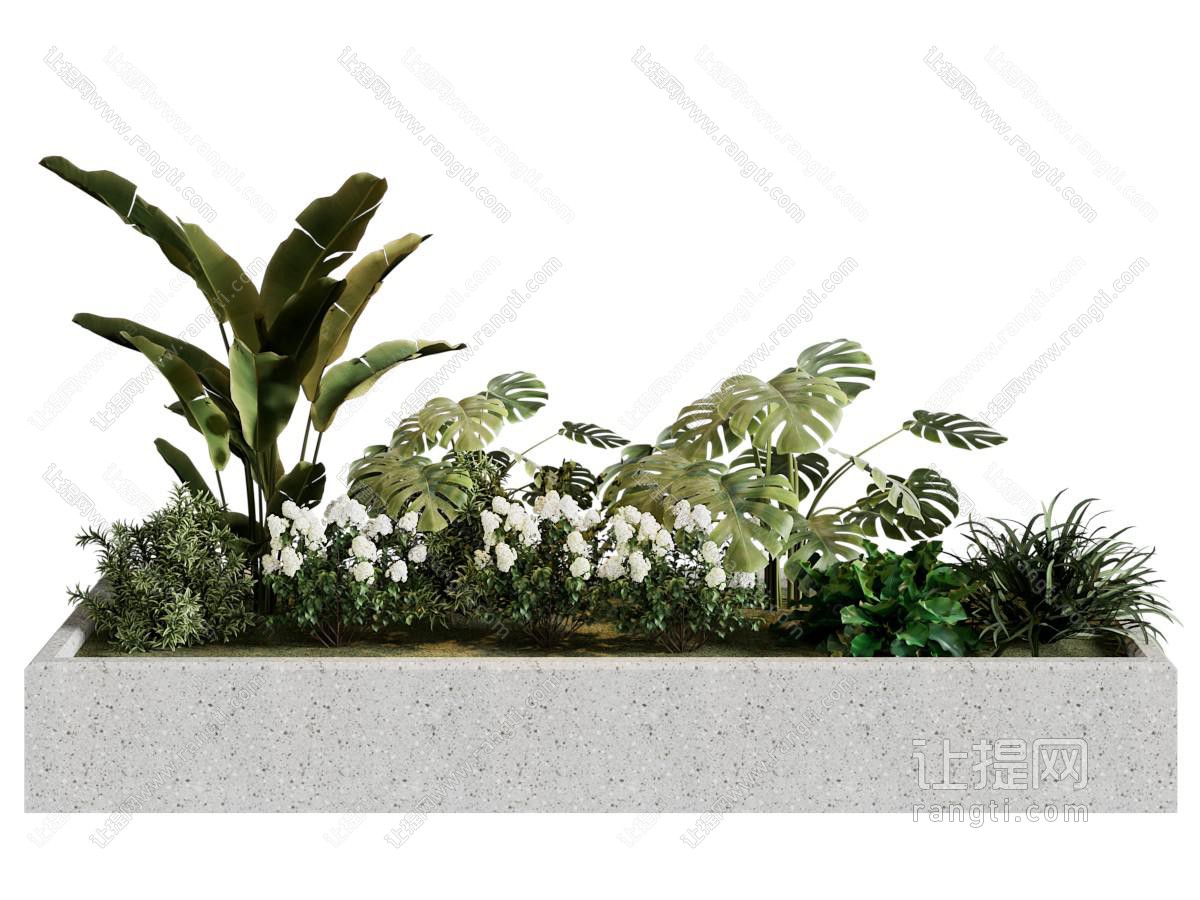现代户外花坛花草植物盆景盆栽植物