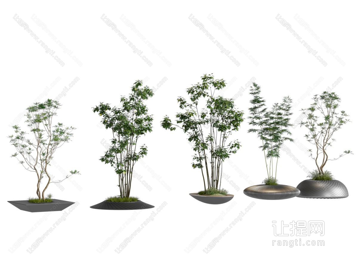 现代景观树池 树木