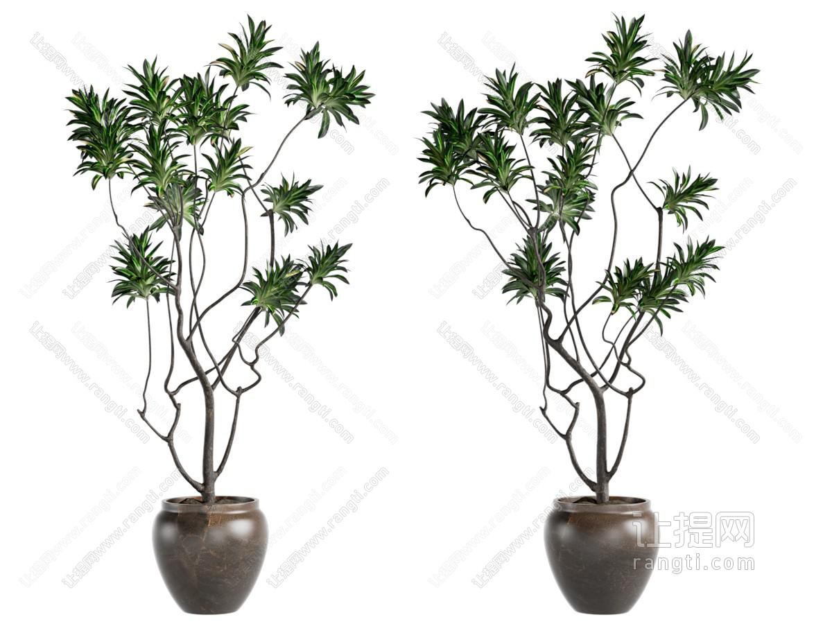 中古风绿植盆景盆栽
