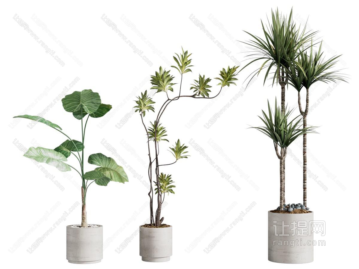 现代陶艺花盆盆景盆栽植物