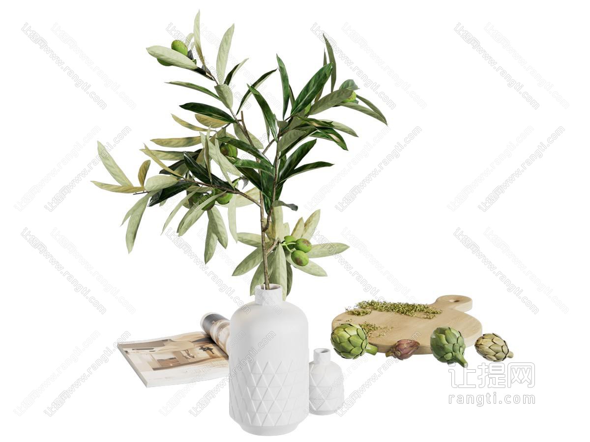 洋蓟 橄榄 书籍 摆件