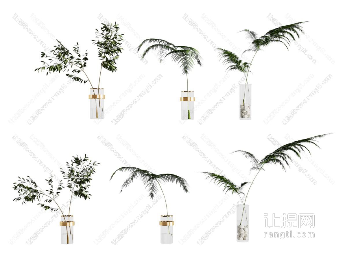 植物花瓶