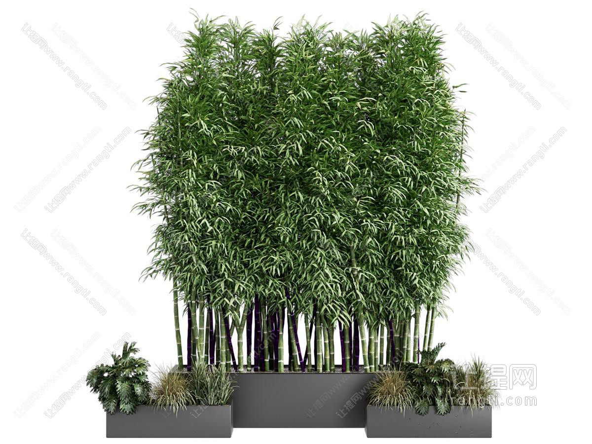 现代植物景观 植物造景 植物堆 竹子