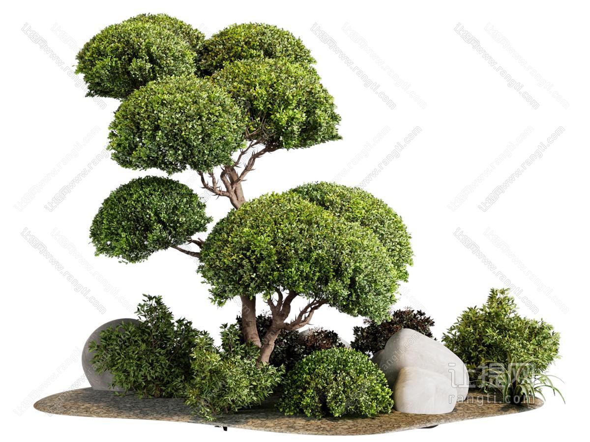 现代树木 石头景观园艺小品