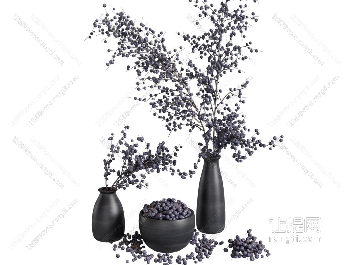 现代水果蓝莓食品