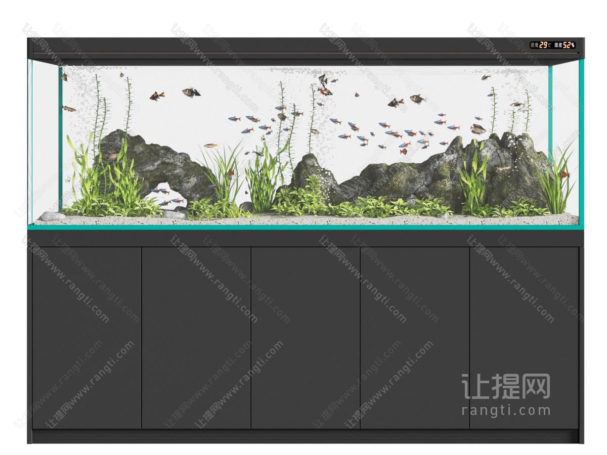 现代鱼缸 水族