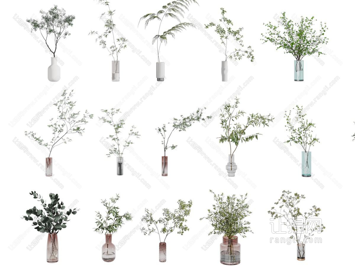 水生植物