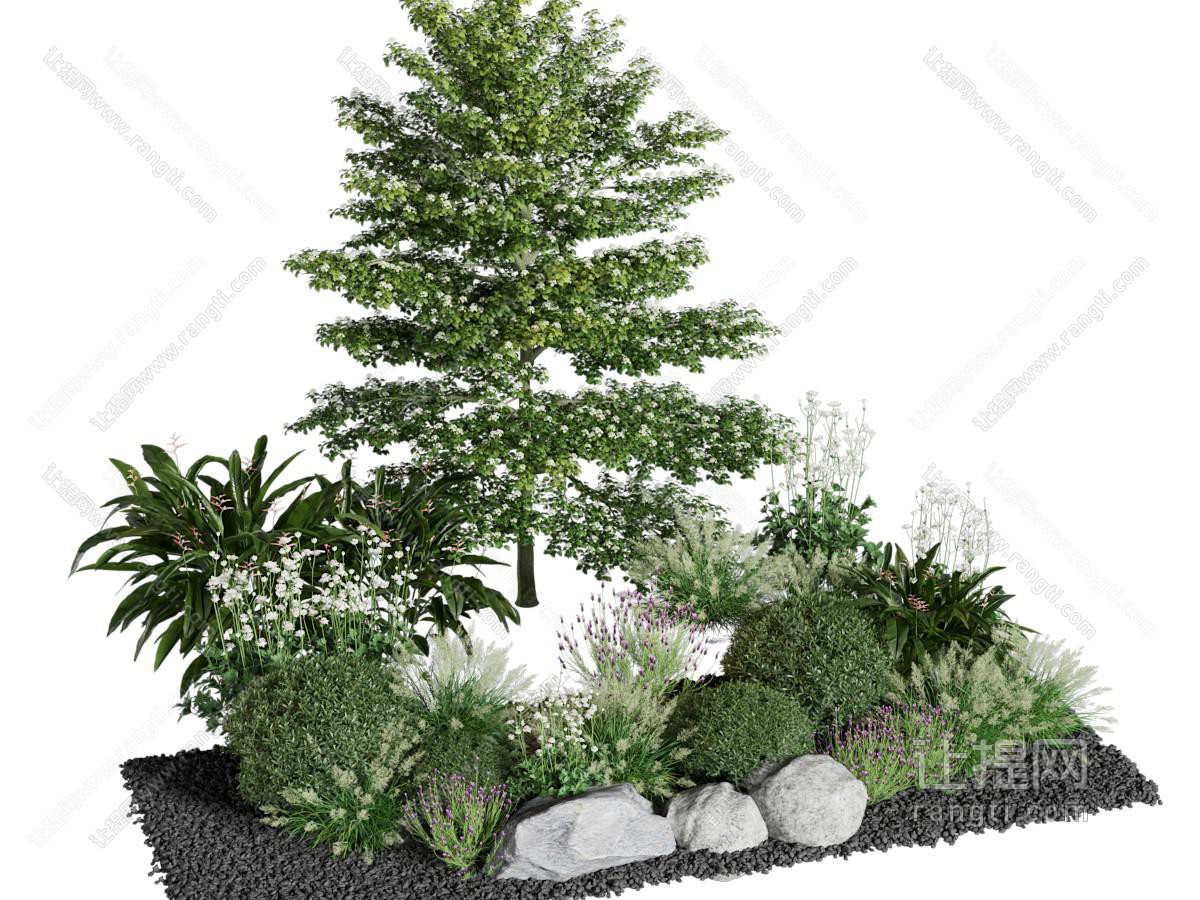 景观植物 园艺小品
