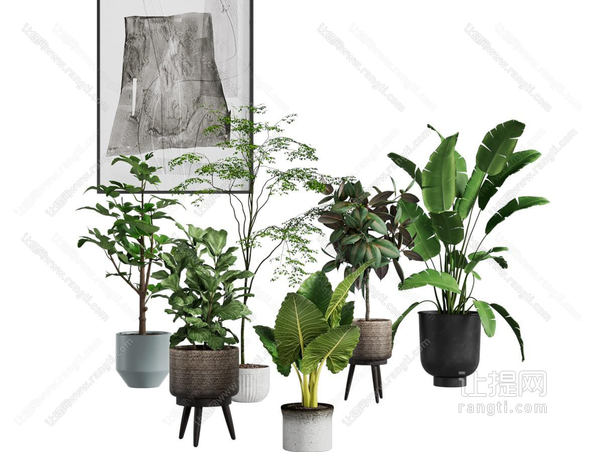 绿植盆载 绿植盆景 落地植物