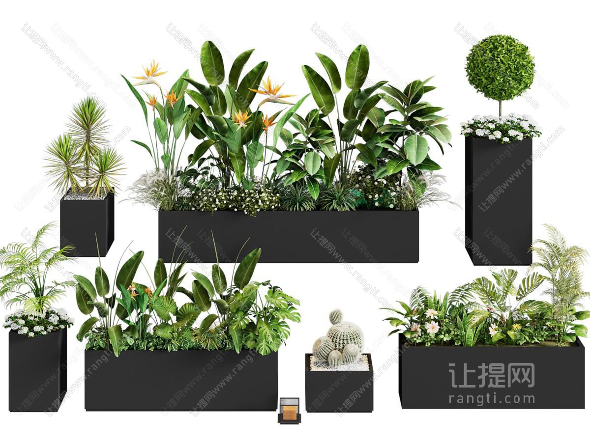 现代花盆植物盆景盆栽