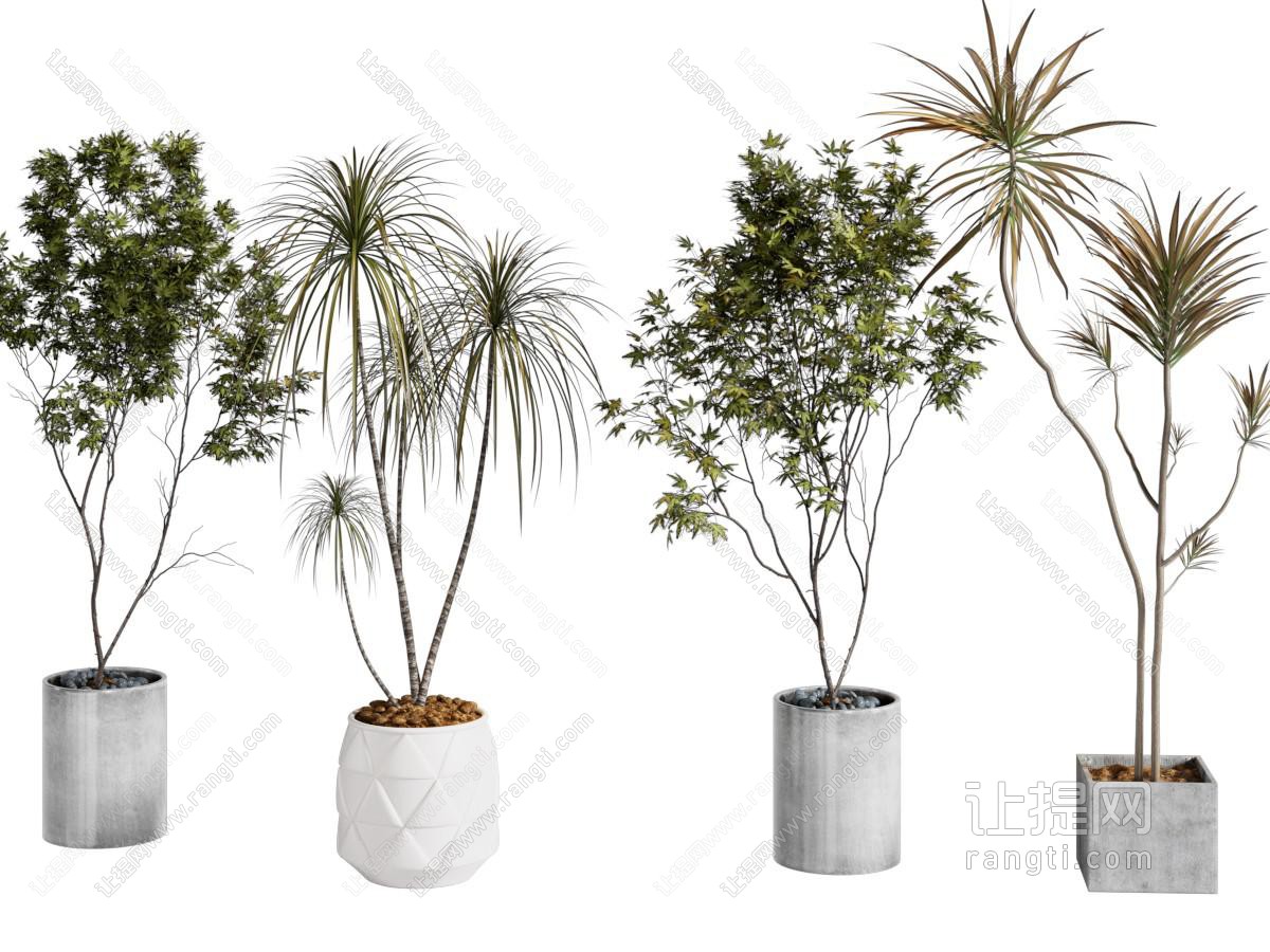 现代绿植盆景盆栽组合
