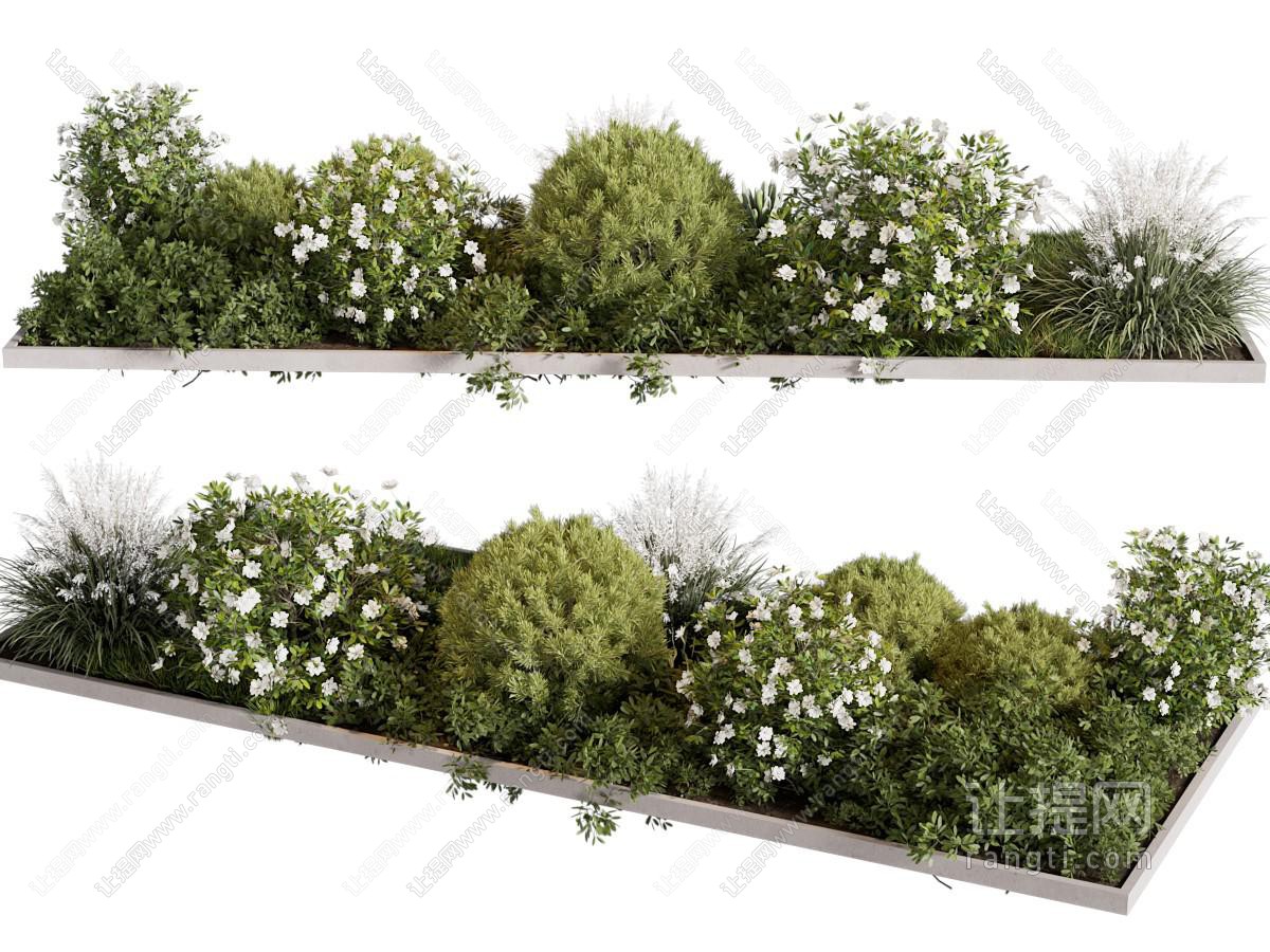 现代户外花坛花草植物