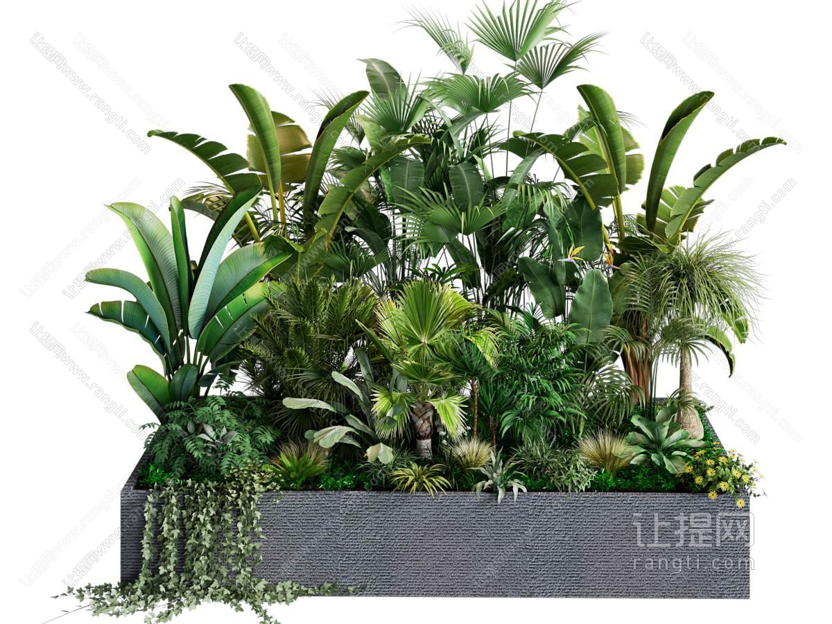 盆景盆栽绿植摆件